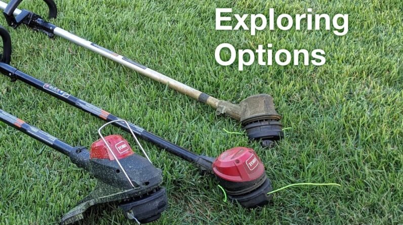 3 Weedeaters Compared - Varying Price Points and Options