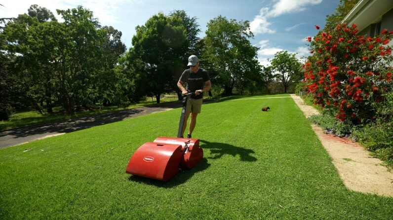 Cutting My Kikuyu at 17mm with a Reel Mower // 6 Weeks After Renovation