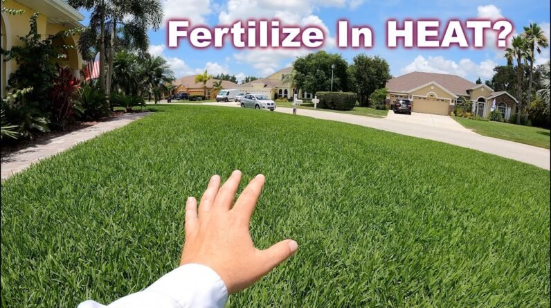 Fertilizing In Hot Weather [Will It BURN The Lawn?]