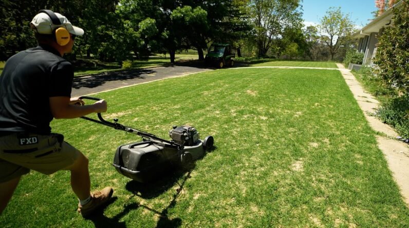 First Mow On My Lawn Renovation // Week 3 Results