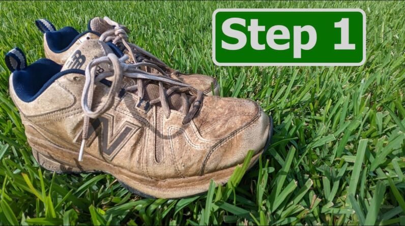 Florida Winter Lawn Care Step 1 :: Florida Lawn Calendar