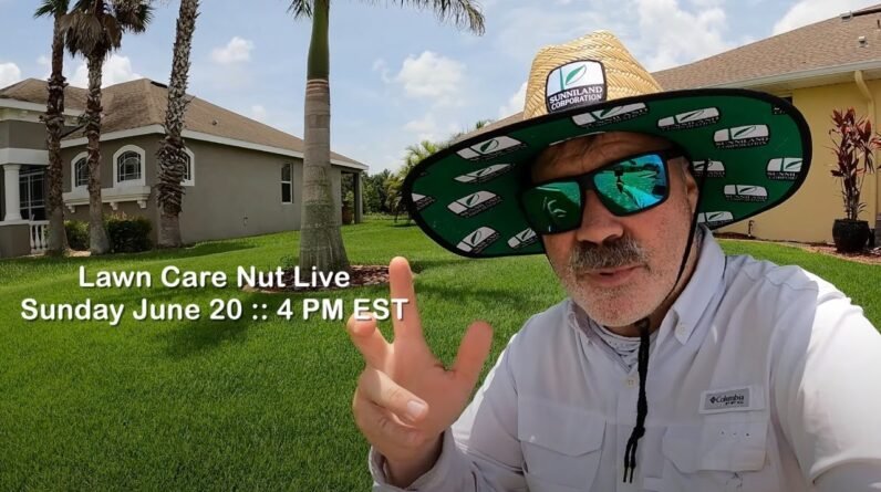 LCN Live Cigar Chat