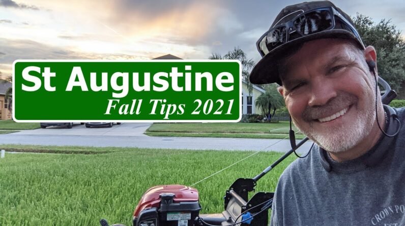 St Augustine Grass Lawn Tips Fall 2021