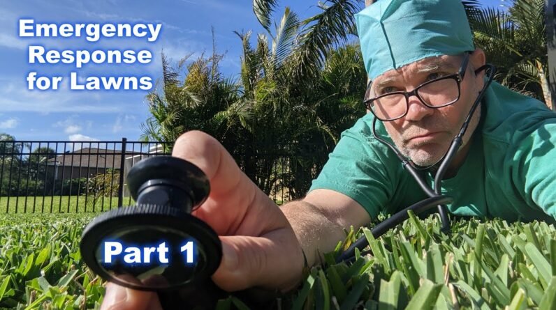 Street Legal Lawn Care for Beginners Part 1 :: Emergency Lawn Response