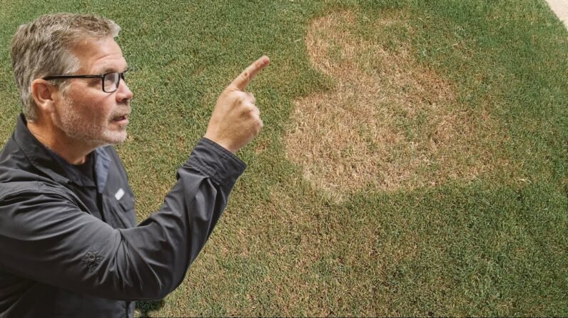 The GREEN Hit Explained | ft Bermuda Grass Central