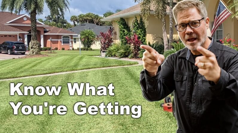 Lawn Insects // You're NOT GETTING The Entire Story With These Store Bought Products