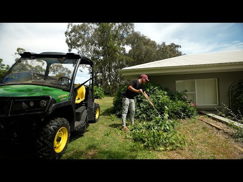 Relaxing Property Cleanup and Mowing