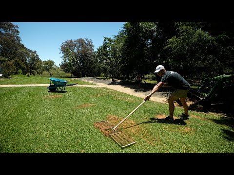 Road To A Flat Lawn // Fixing Topdress on My Kikuyu Lawn