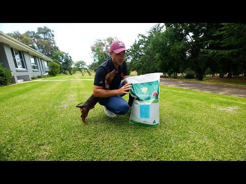 End of Summer Fert Application and Roundup on Kikuyu