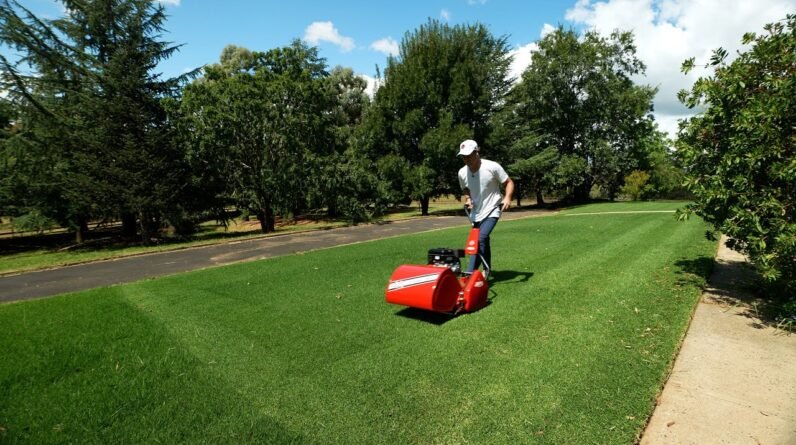 From A Scalped Lawn To This In 8 DAYS // Diamond Stripes Mow