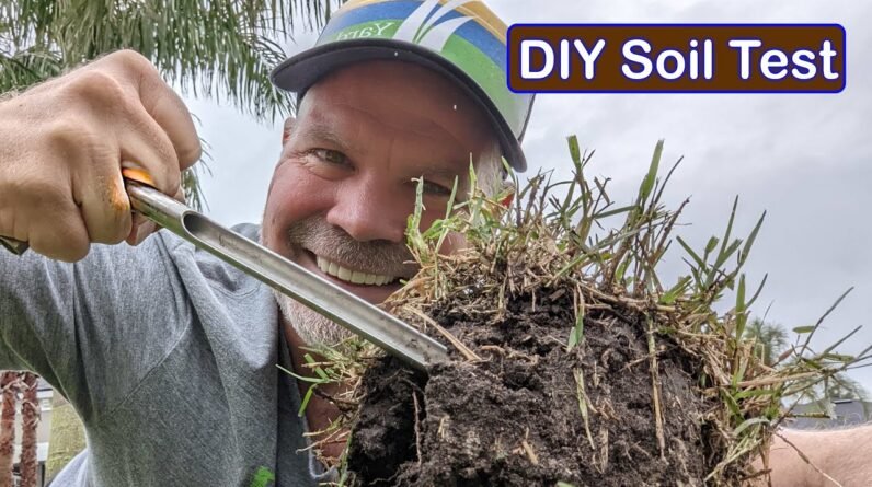 Testing My Soil - Postage Stamp Lawn Series Part 1