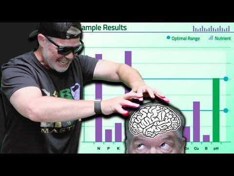 Lawn Soil Testing? WATCH THIS FIRST