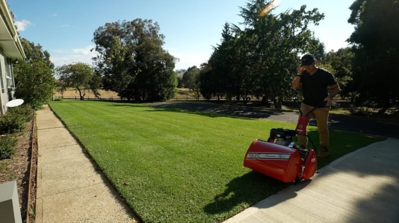 Kikuyu Grass is Beautiful, I Don’t Care What You Say.  // It’s Time for Autumn Fertiliser