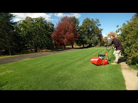 I Can't Believe How Good This Looks!! // Enjoyable Lawn Care