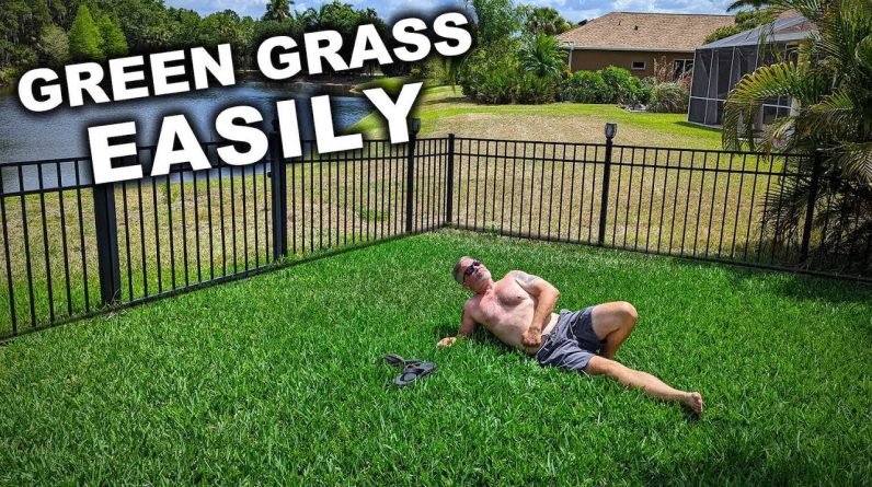 Starting Today “Your Grass Will Always Be Greener”