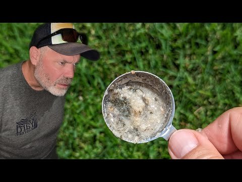 Lawn Detective :: Brown Patches In The Lawn // PLUS, $1500 For A Special Light?