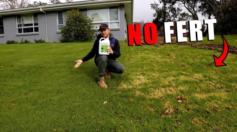 The Perfect Fertiliser For Your Lawn