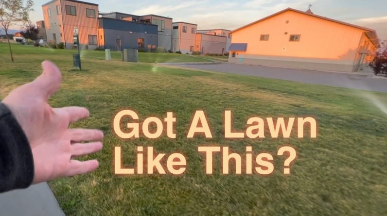 This Lawn Problem CANNOT Be Solved By The Homeowner