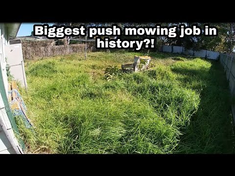 The MOST DIFFICULT LAWN I have ever MOWED!!!