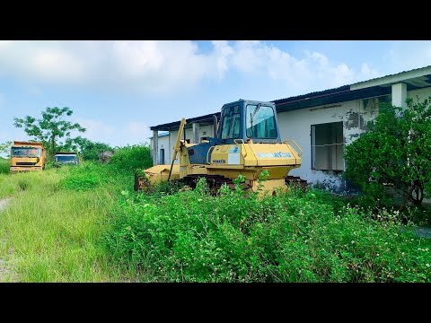 FREE overgrown lawn MOWING amazing TRANSFORMATION of the transport COMPANY operator’s house CLEAN UP