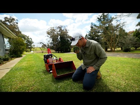 Is My Lawn Ready For A Renovation? PLUS More Golf Green Work!