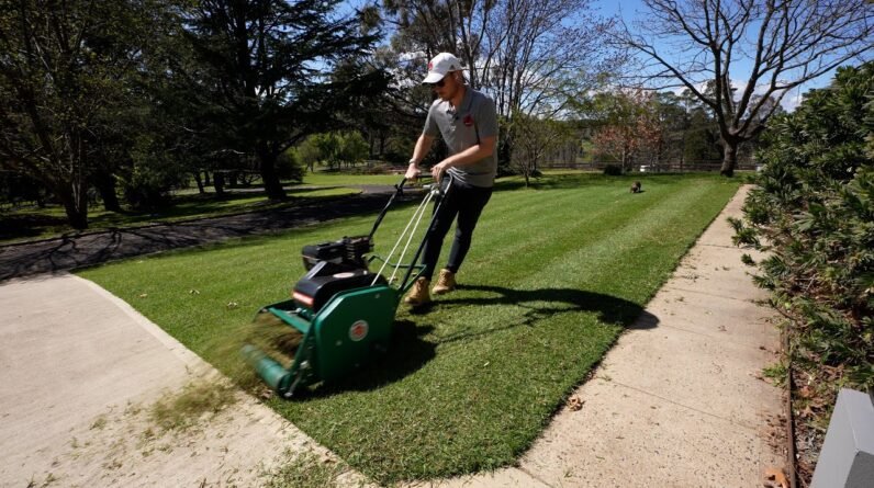 Everything To Know About Scarifying (Removing Thatch) From A Lawn (Lawn Renovation Series)