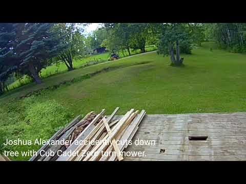 Security camera captures cutting down tree with lawn mower