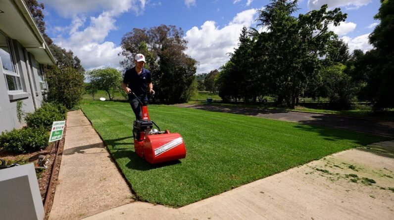 Lawn Renovation Results After 2 Weeks // FIRST MOW!!