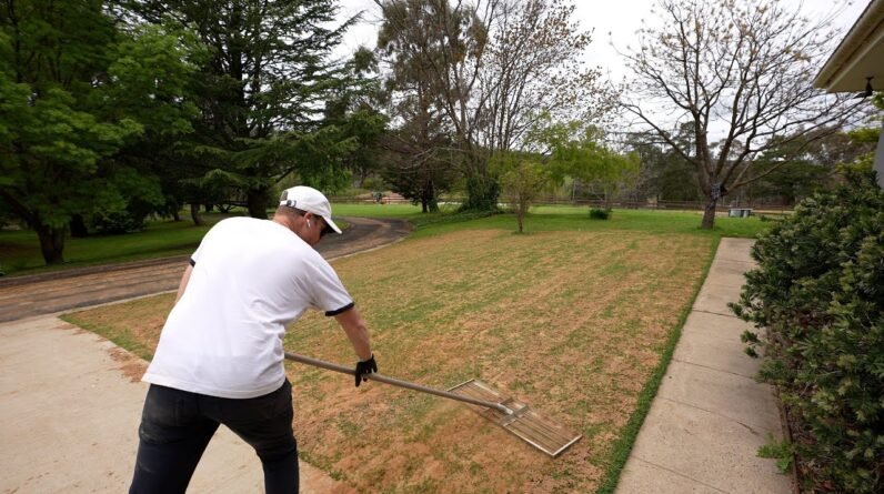 Topdressing and Levelling My Lawn With Sand (Lawn Renovation Series)