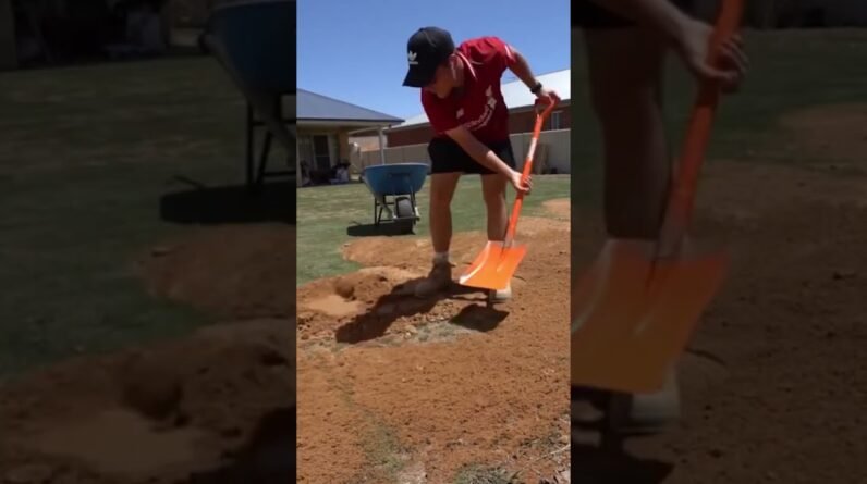 Topdressing with Sand to Level a Lawn