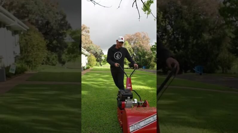 Quick Mow Before Another Storm