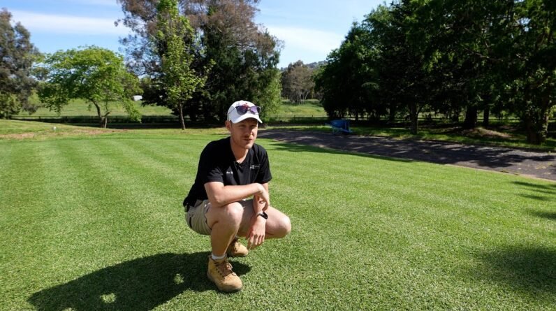 Taking My Lawn Down To 10mm (0.39")