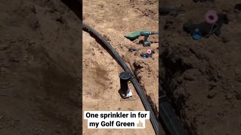 Irrigation for Backyard Putting Green