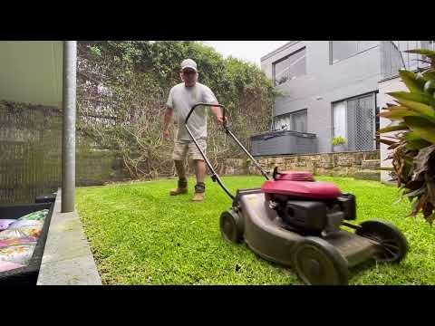 Honda Lawn Mower – Mulching Grass