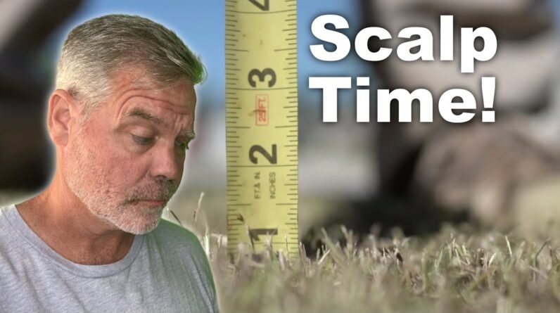 Don't Be Scared to Scalp :: Bermuda and Zoysia Spring Lawn Prep