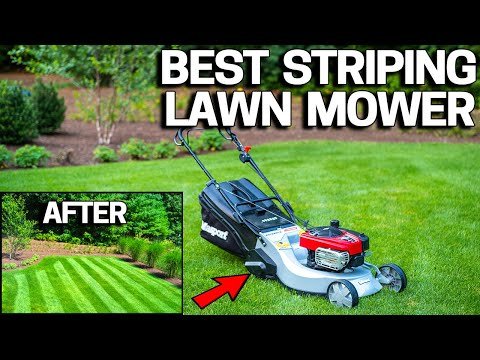 Best Lawn Mower for Stripes – Masport Rotarola Rotary Walk Behind New Zealand