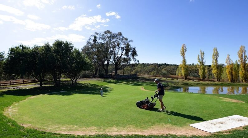 Mowing at 6.5mm (0.25") //  The Green is Filling In!!