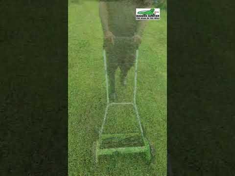 Push Reel Lawn Mower #shorts