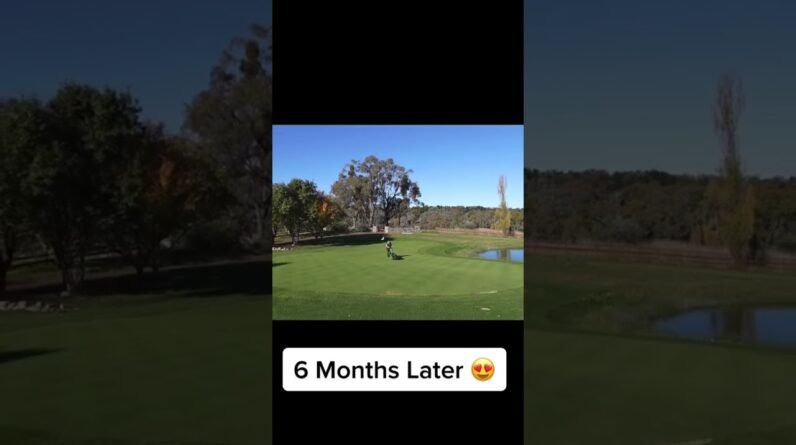 6 Month Before and After!! #golfgreen #lawntips #golf