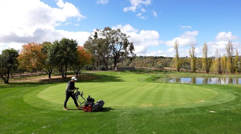The Ultimate Backyard Putting Green // 10mm Ryegrass Collar Mow