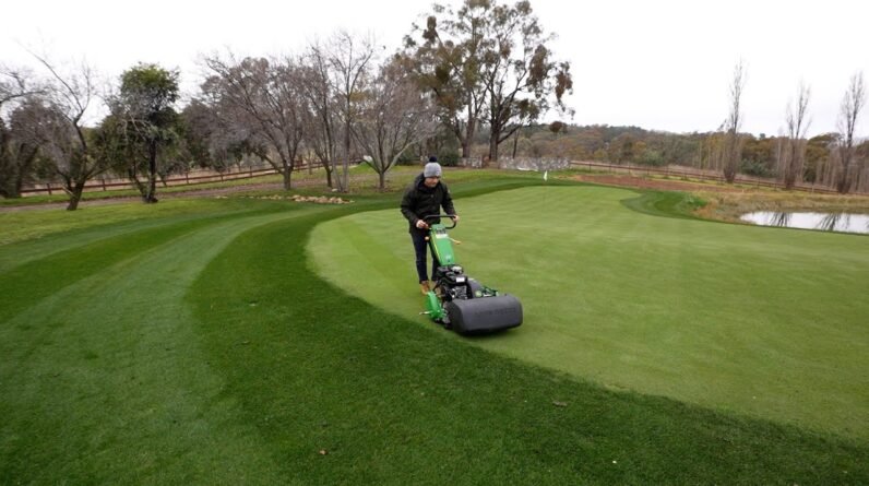 I'm mowing at 3mm (0.11" ) and the Colour Is INSANE