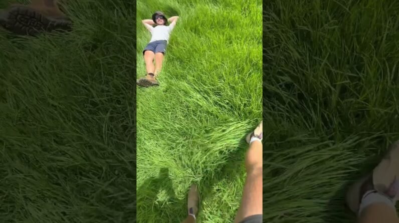 The kikuyu/rye oversow might be a little long 😅