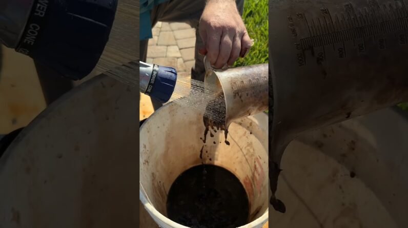 Fertilizing Palms and Tropicals - Product Recommendations