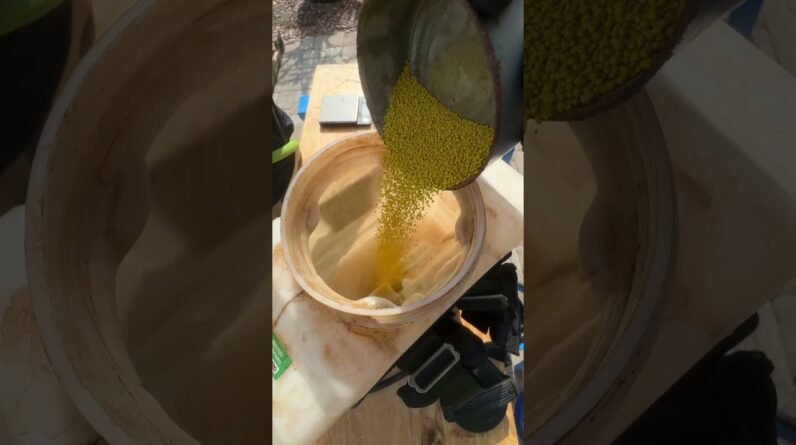 When To Apply Pre-Emergent PRODIAMINE