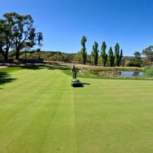 A Fun Day on my Backyard Golf Green // SA Lawn