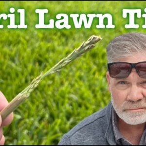 South Lawn Tips 🌱 NEW Ego BackPack Sprayer 💦 4 Month Fertilizer // Lawn Care Weekend Vlog