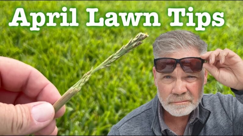 South Lawn Tips 🌱 NEW Ego BackPack Sprayer 💦 4 Month Fertilizer // Lawn Care Weekend Vlog