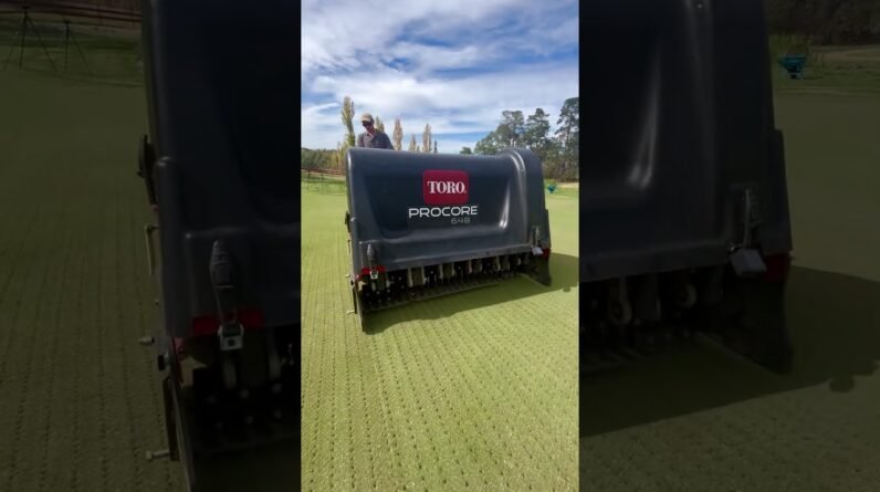 Core Aeration time!