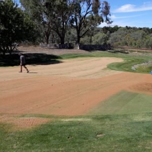 Huge Lawn Renovation – Aerate, Topdress, Seed, Fertilise (Step-by-Step)
