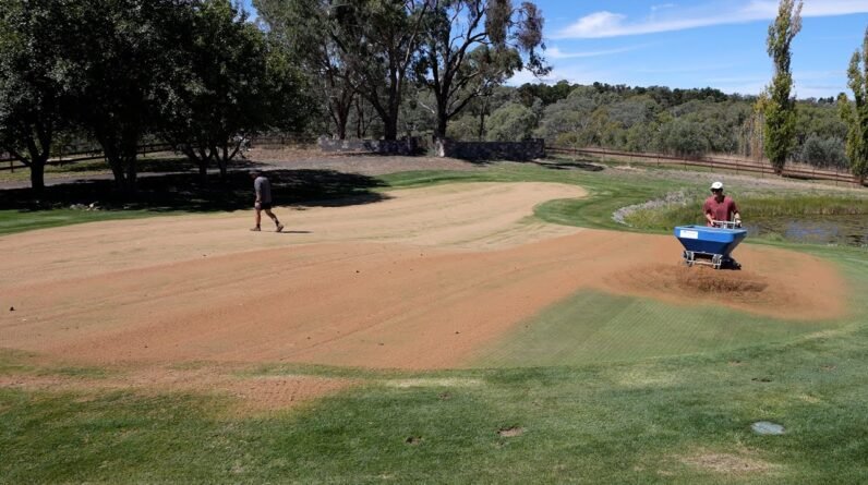 Huge Lawn Renovation – Aerate, Topdress, Seed, Fertilise (Step-by-Step)